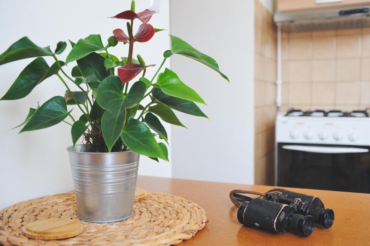 Apartment Rybna - Kraslice
